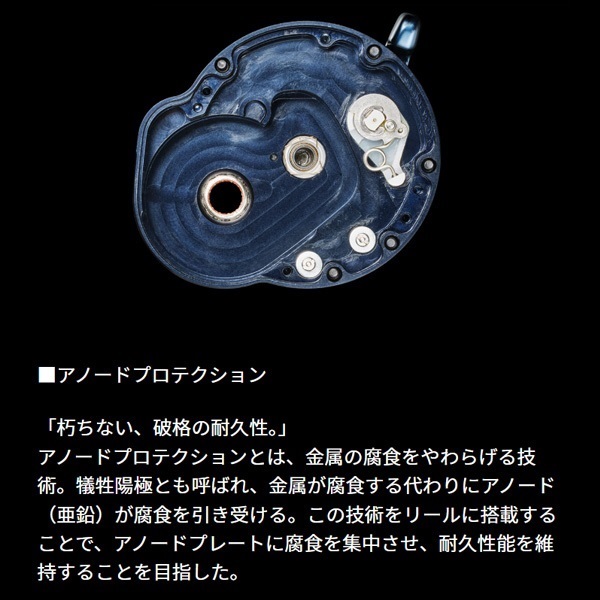 25ソルティガ